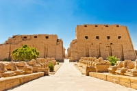 luxor half day (East Bank)