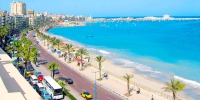Full Day Alexandria City